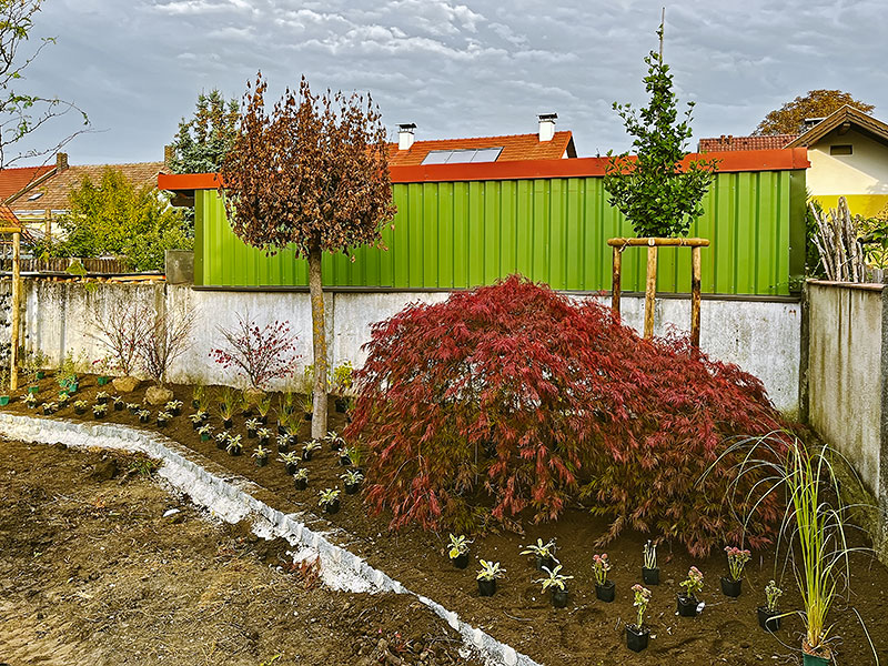 bepfl_IMG_4685 bunte Farben gemischt mit unterschiedlich großen Pflanzen erfreuen die Sinne