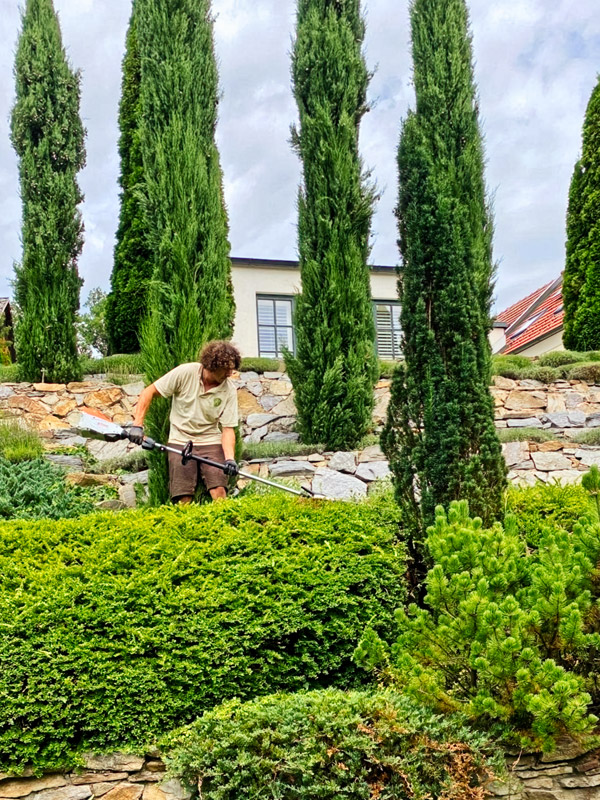 ein schöner Garten will auf vielfältige Weise gepflegt werden