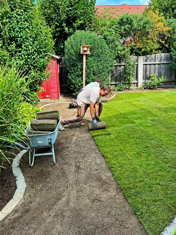 steigender Beliebtheit erfreut sich die Verwendung von Rollrasen