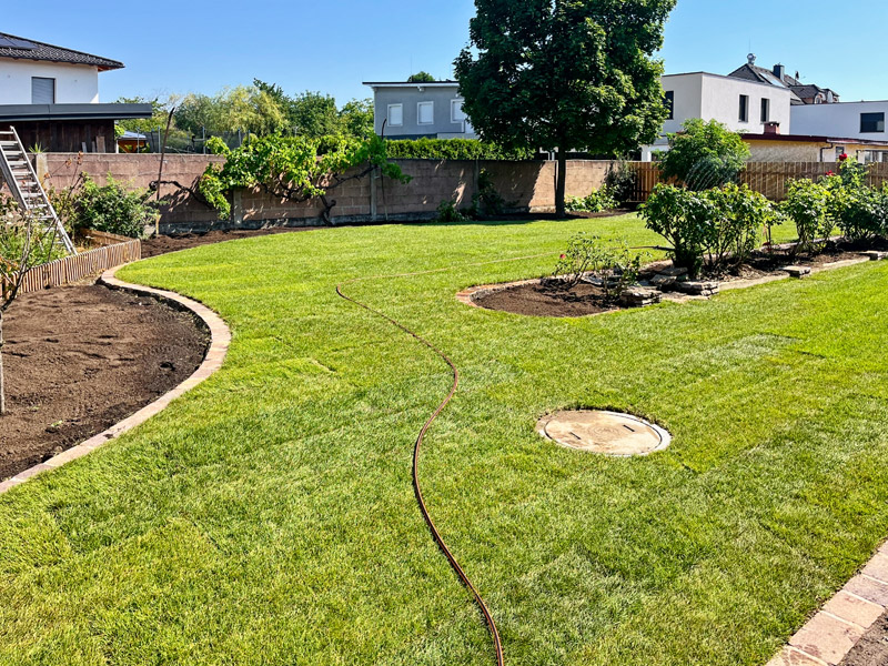 der Rasen ist das Herzstück eines Gartens – darauf spielen Kinder, man geht barfuß darauf und liegt in der Sonne